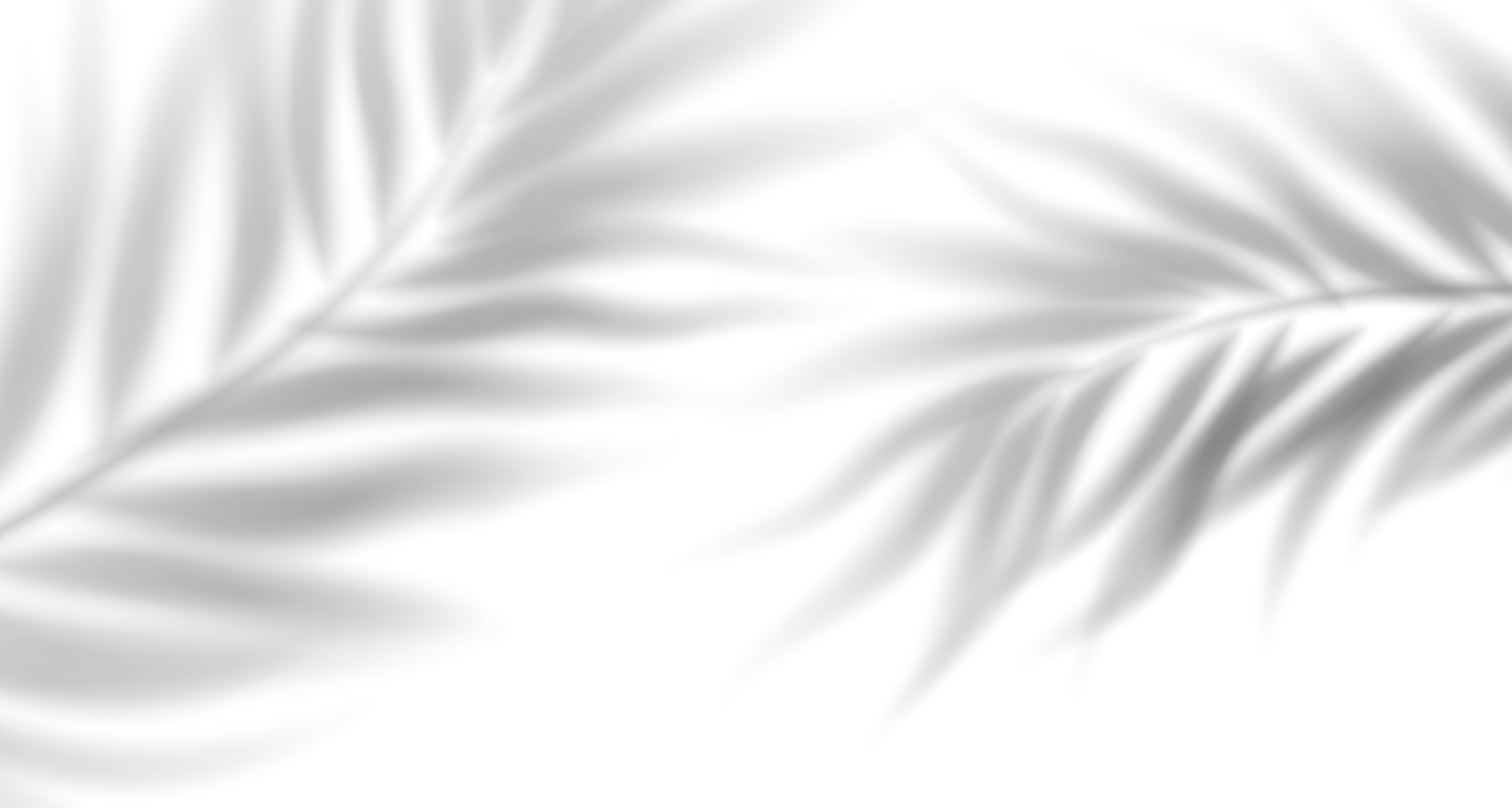 Palm Leaves Shadow
